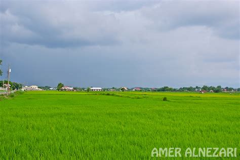 Barangay IX, Ilocos Sur, Philippines Weather .